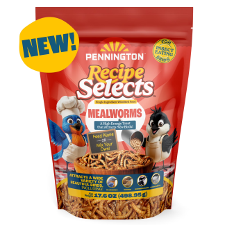 Dried Mealworms for Bluebirds and Wild Birds