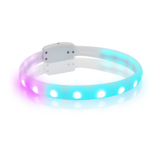 USB Rechargeable LED Anti-Lost Dog Collar