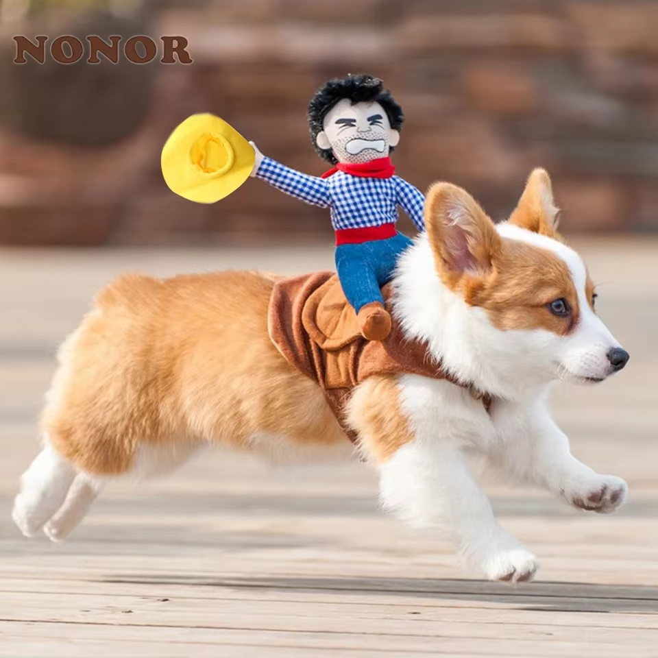 Corgi wearing the saddle-style cowboy costume