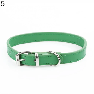 Green faux-leather collar with metal buckle