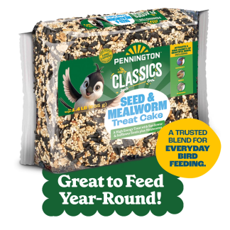 Seed and Mealworm Wild Bird Treat Cake, 1.4 lb