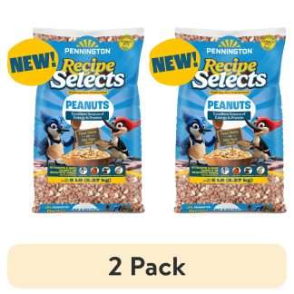 Shell-Free Whole Peanuts Bird Food, 5 lb, 2-Pack