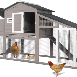 Wooden Chicken Coop for 2-3 Chickens, 71 in