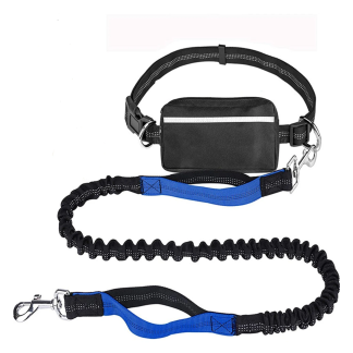 Blue bungee leash, waist belt and pouch
