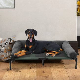 Elevated Dog Bed Lounger with Detachable Plush