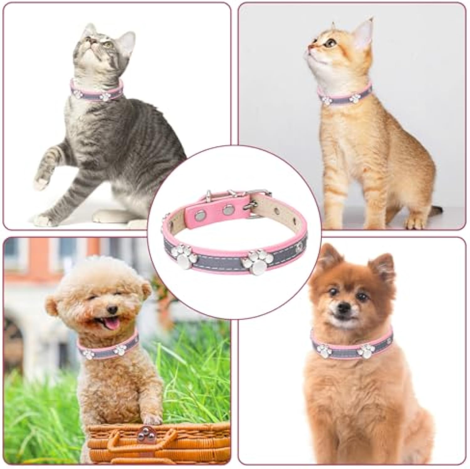 Reflective Leather Dog Collar with Paw Rivets — product view 7