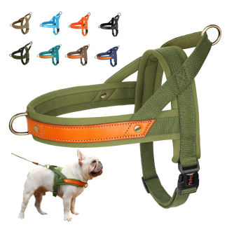 Green padded reflective dog harness