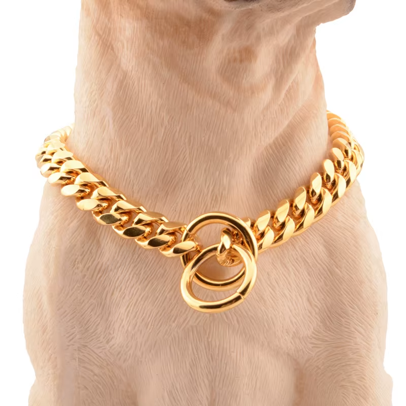 Two-ring slip chain detail