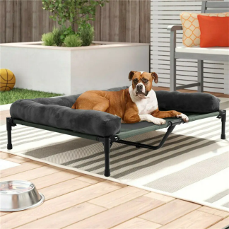 Elevated dog bed with padded bolster