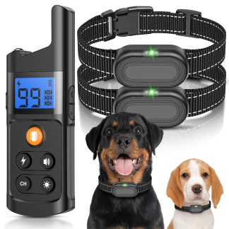 Dog Training Shock Collar with Remote, 2-Pack
