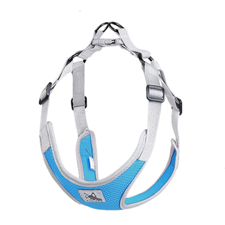 Blue mesh dog harness