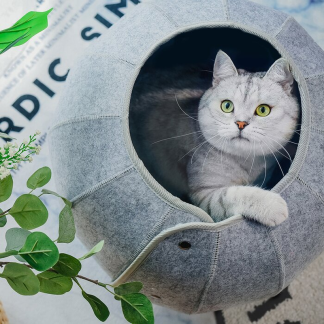 Cat resting inside the rounded felt cave