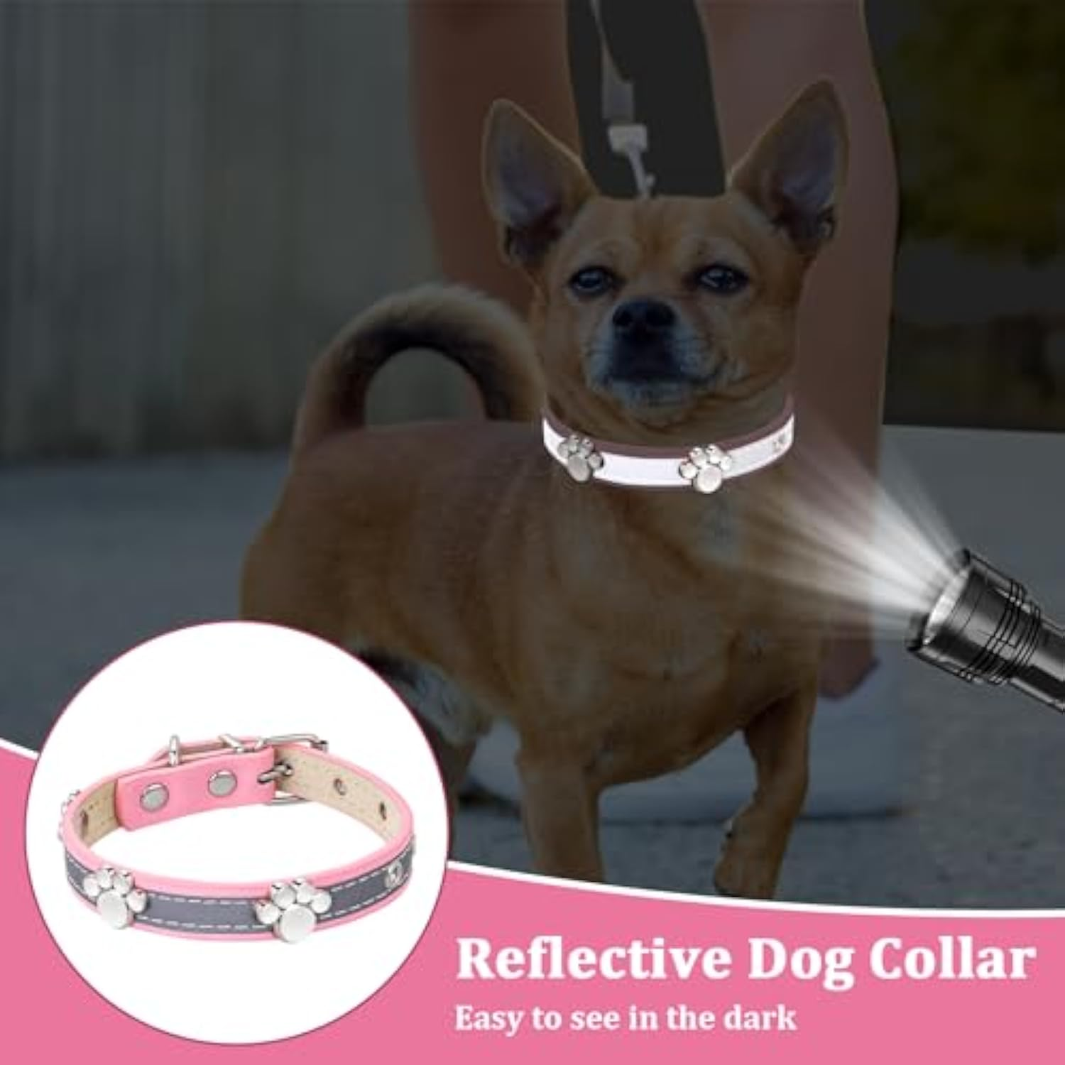 Reflective Leather Dog Collar with Paw Rivets — product view 4