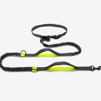 Fluorescent-green-trim bungee lead and belt
