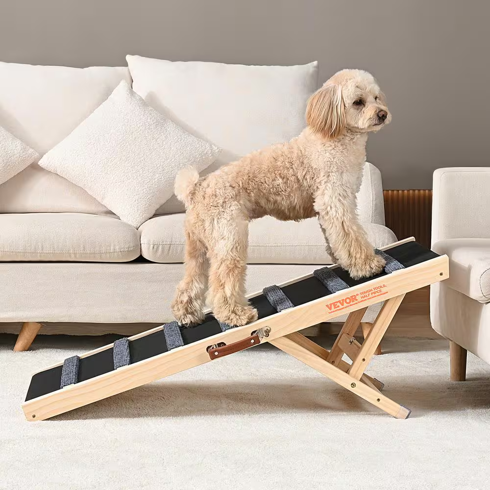 Dog using the wooden ramp beside a sofa