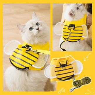 Cat Walking Leash with Chain Lead