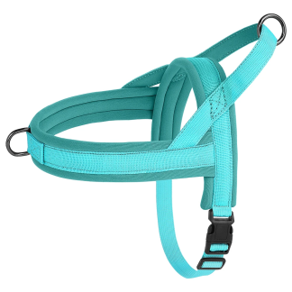 Blue padded strap harness