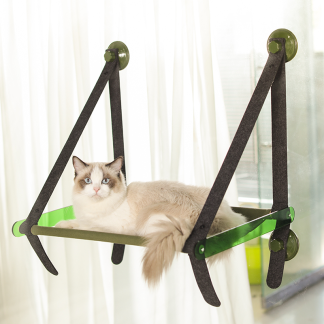 Cat resting on a green window hammock