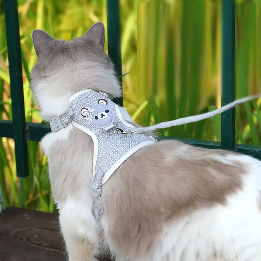 Cat wearing the blue bear-patch harness