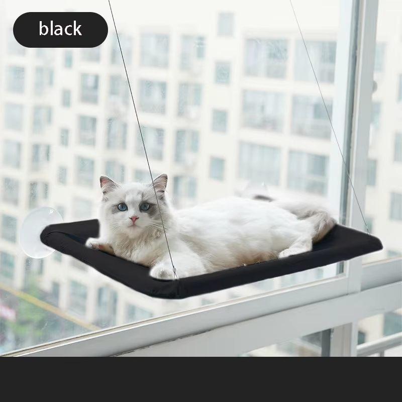Black window hammock with a cat resting on the platform