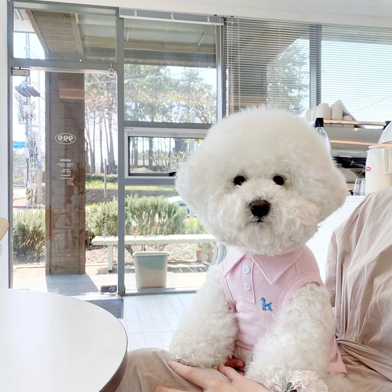 Pink pet polo shirt shown on a small dog