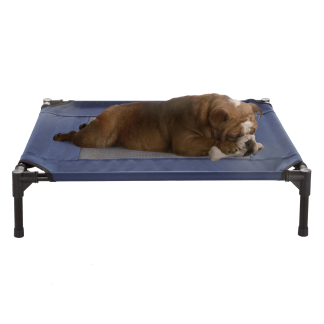 Elevated Indoor and Outdoor Dog Cot