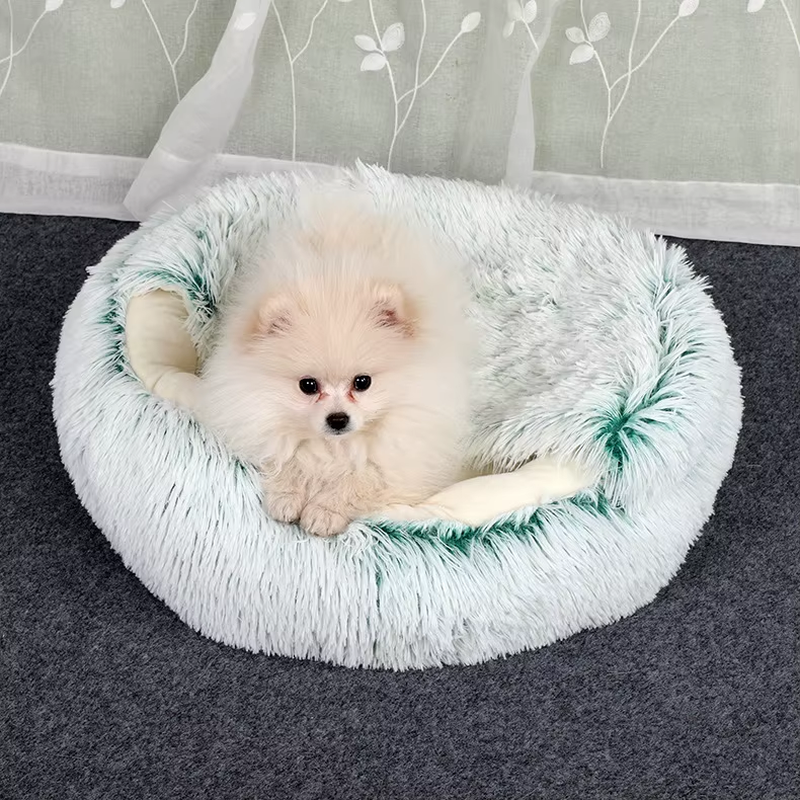 Small dog in a green plush bed