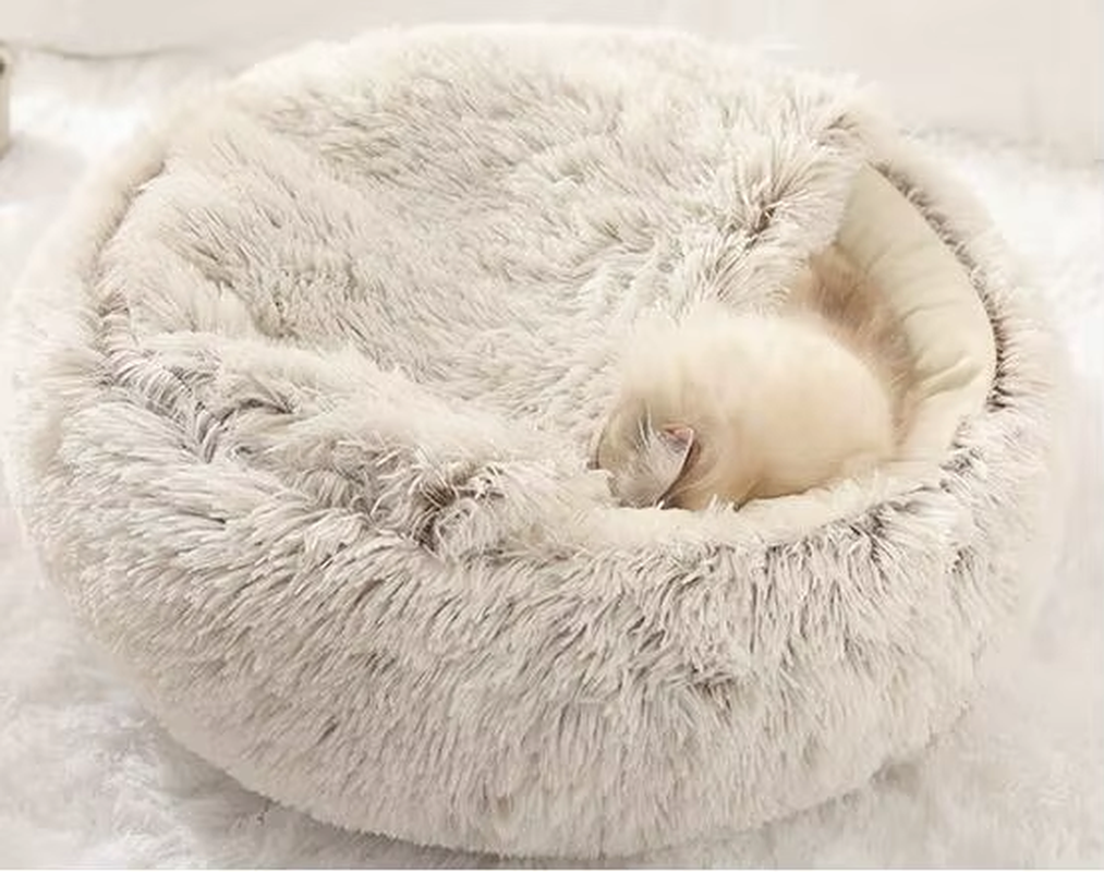 Cream plush bed shown with a resting cat