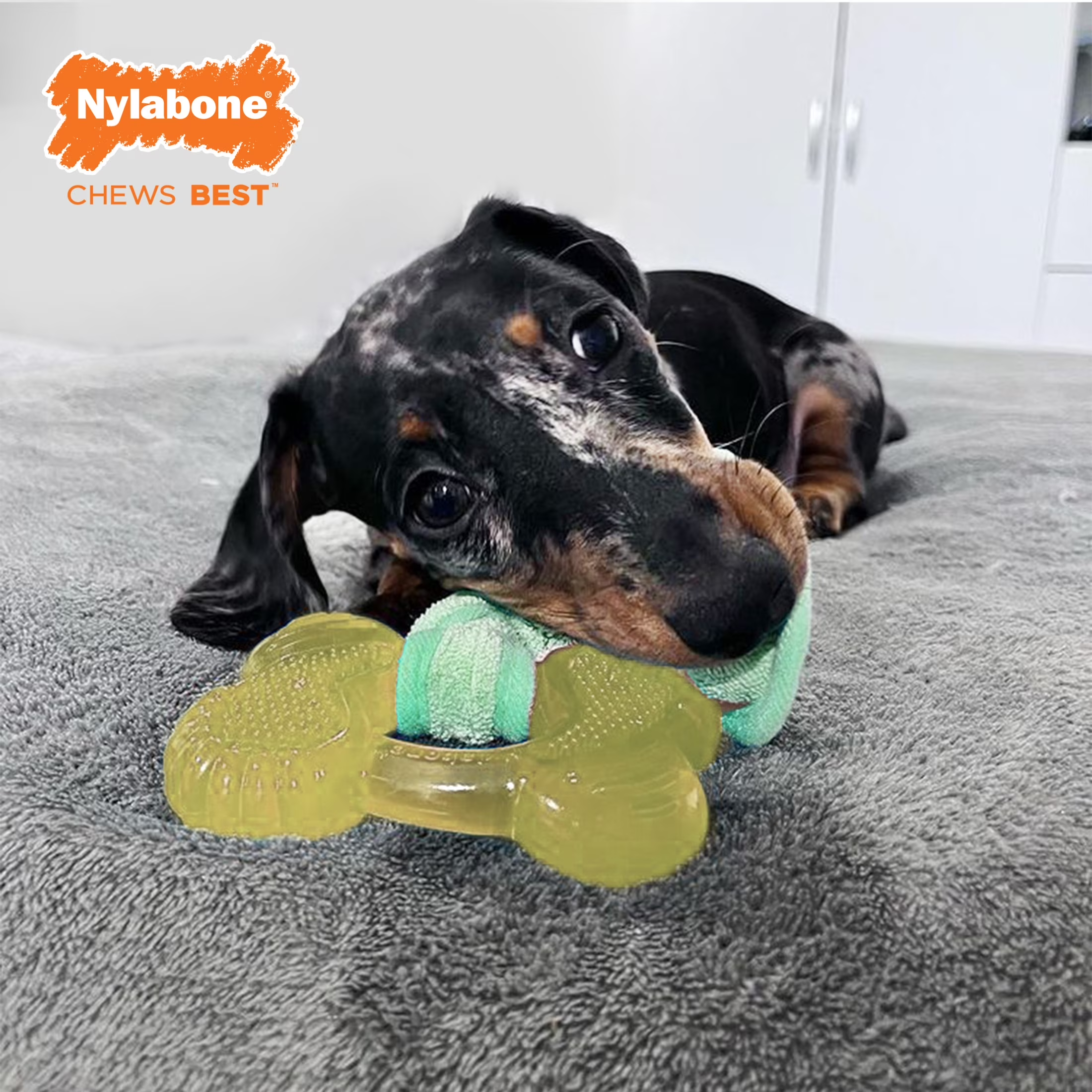 Nylabone Puppy Teething Chew Toy - Image 12
