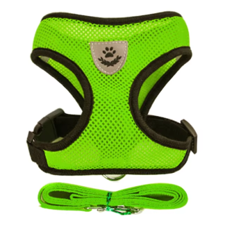 Green mesh pet harness and matching leash