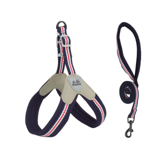 Striped step-in pet harness with matching leash