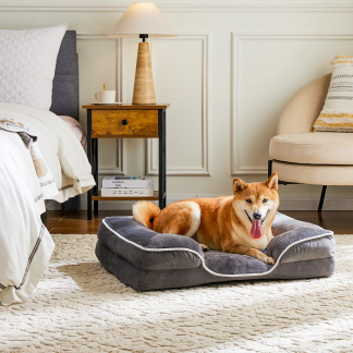 Dog resting in a grey Sweetcrispy foam bolster bed