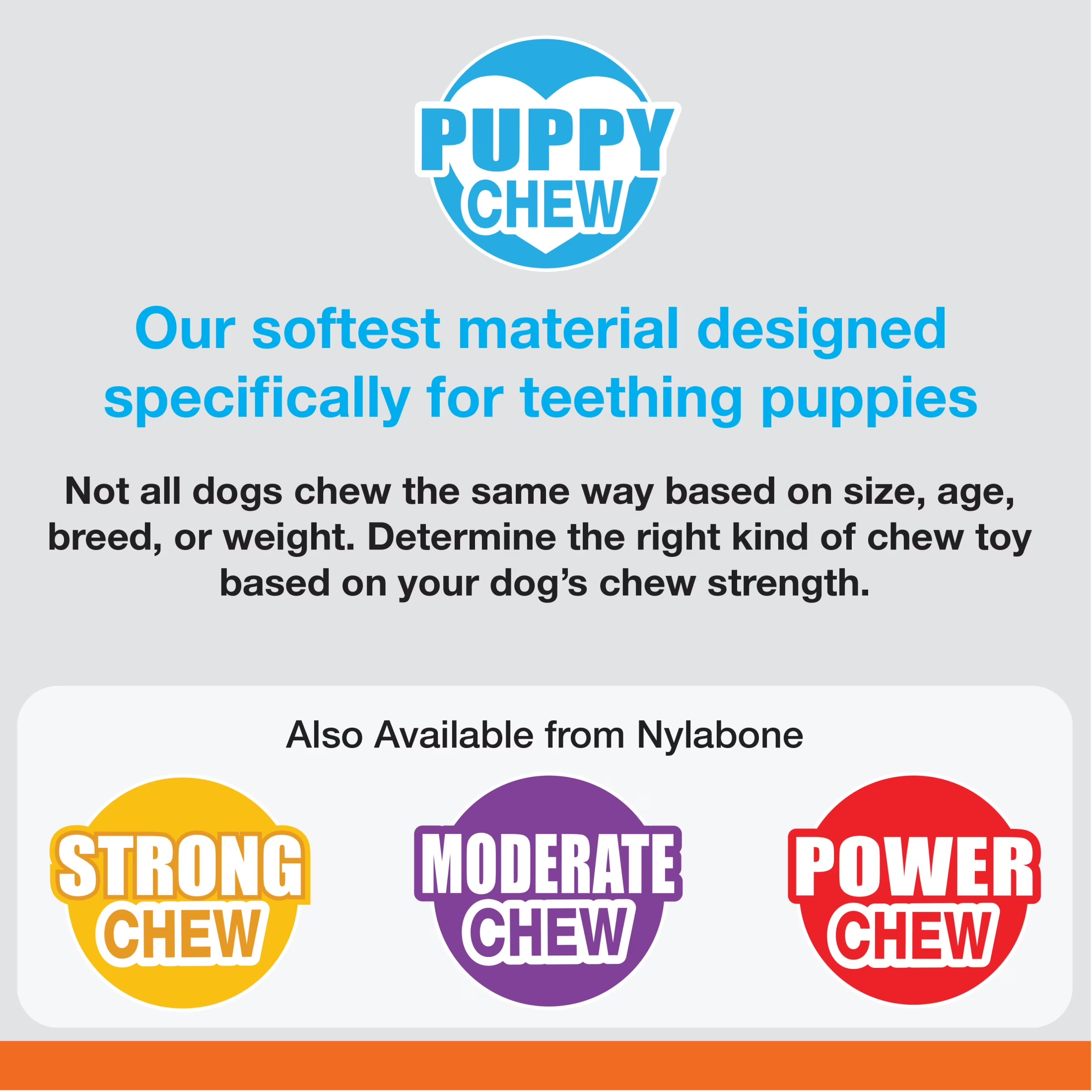 Nylabone Puppy Teething Chew Toy - Image 10