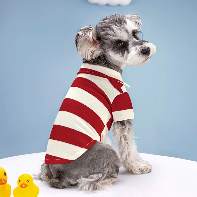 Side view of a dog in the red striped polo