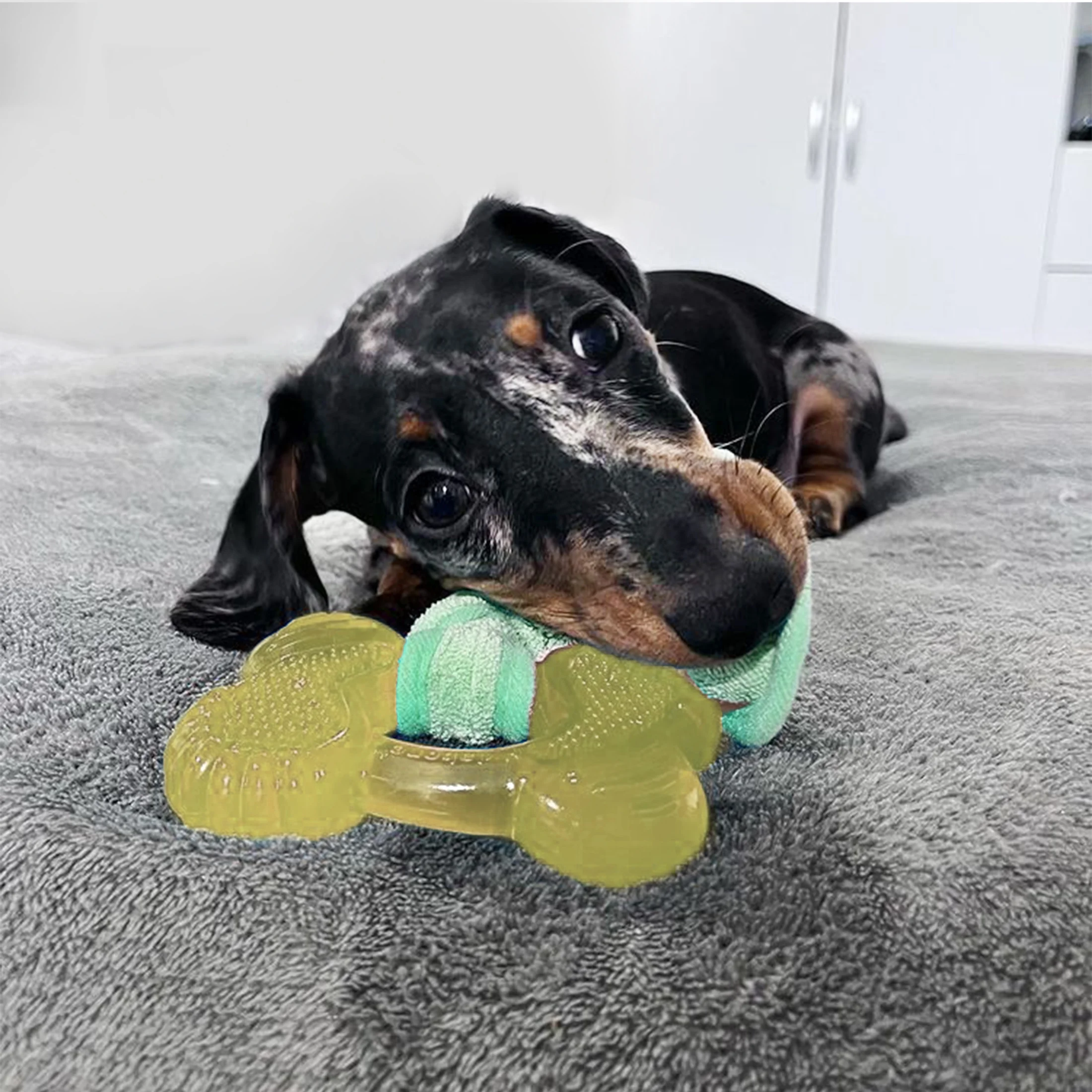 Nylabone Puppy Teething Chew Toy - Image 5