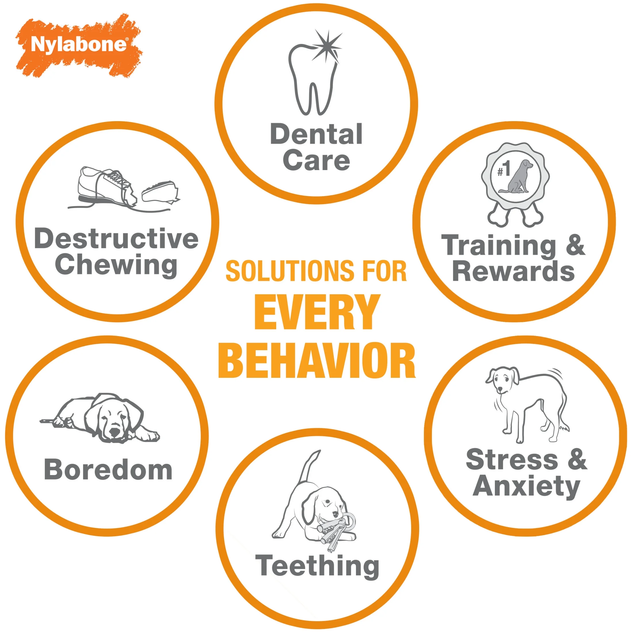 Nylabone Puppy Teething Chew Toy - Image 4