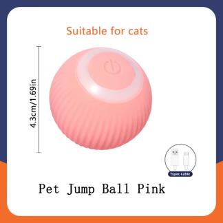 USB Rechargeable Smart Moving Pet Ball