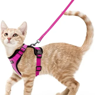 Adjustable Mesh Cat Harness & Leash