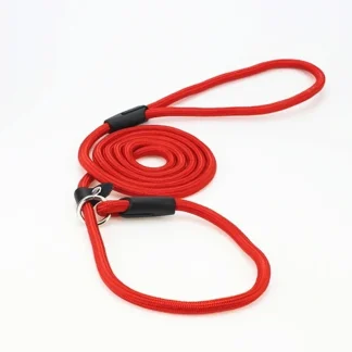 Adjustable Nylon Slip Lead for Dogs