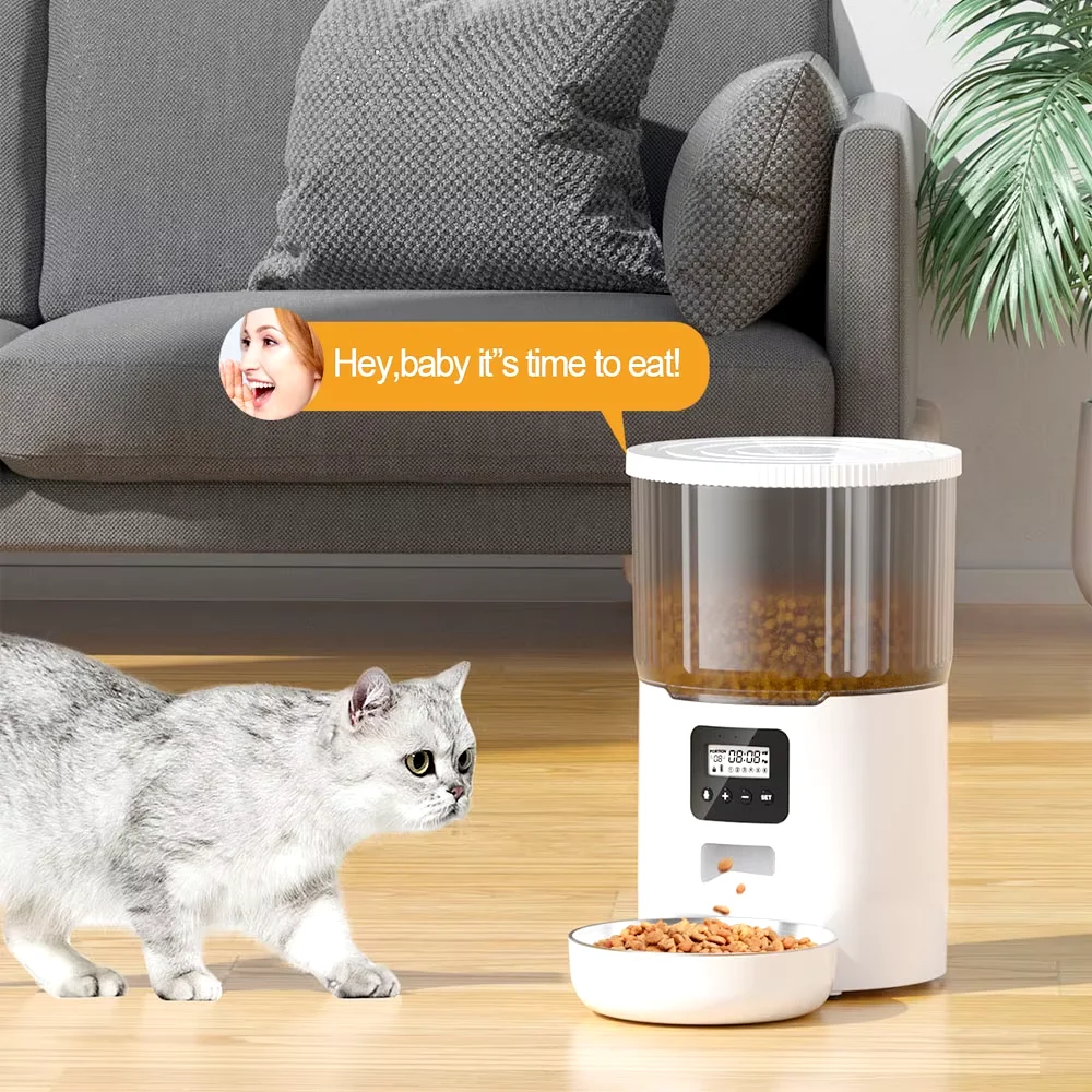 Automatic Pet Feeder and Fountain Options