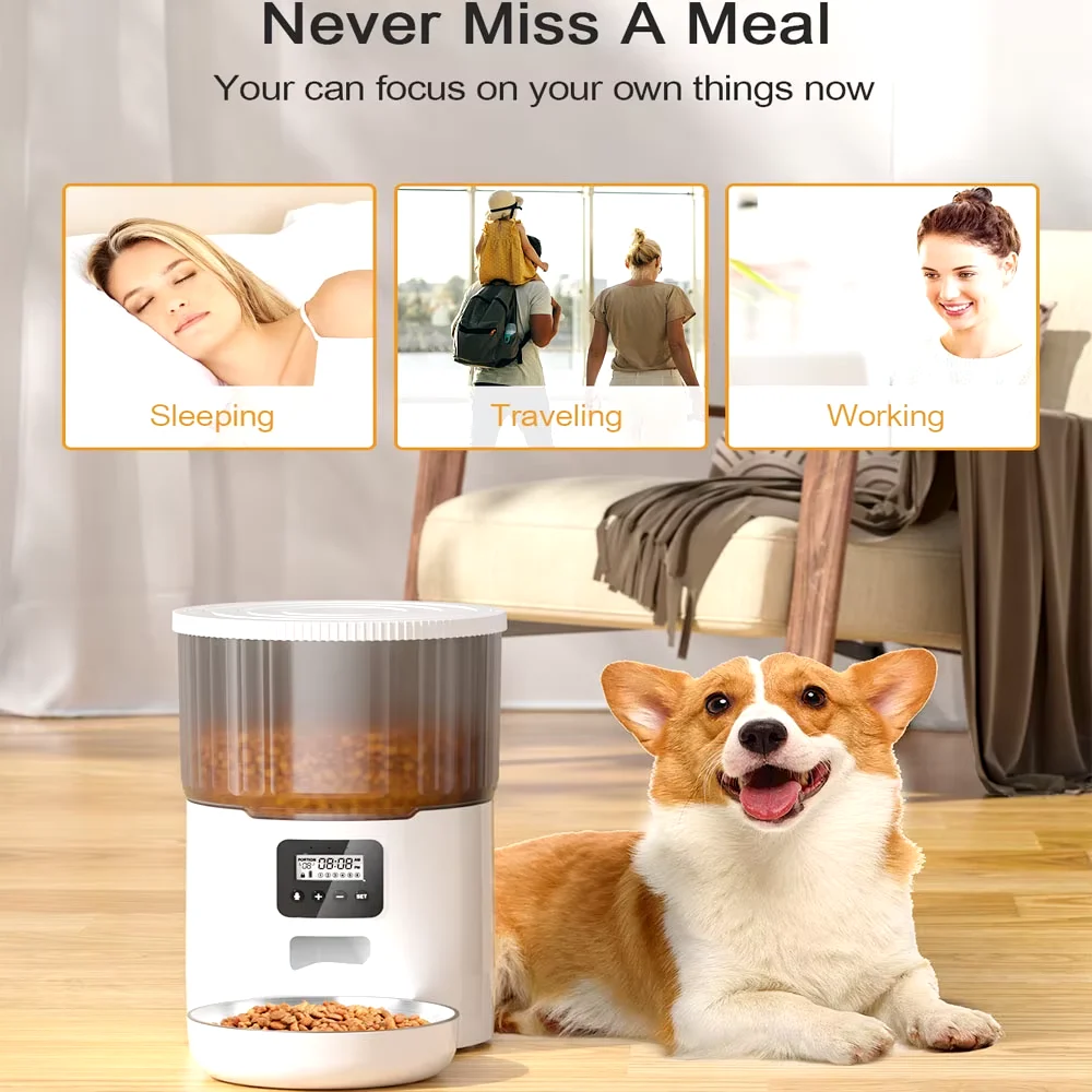 Automatic Pet Feeder and Fountain Options