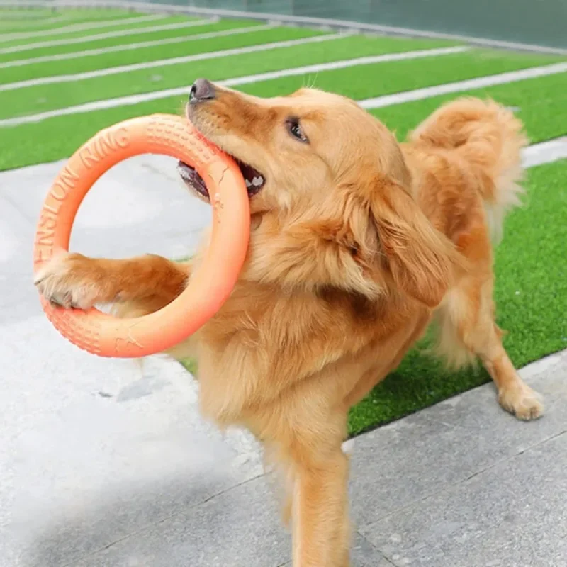 Flexible Flying Ring for Dogs