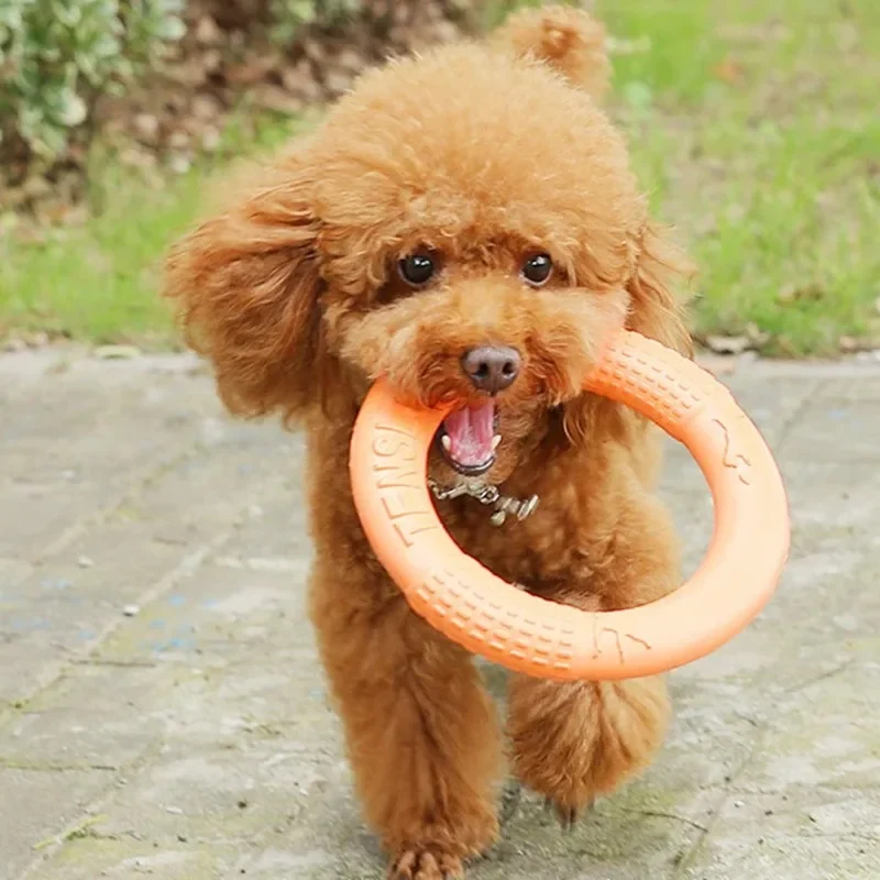 Flexible Flying Ring for Dogs