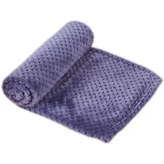 Soft Plush Pet Blanket