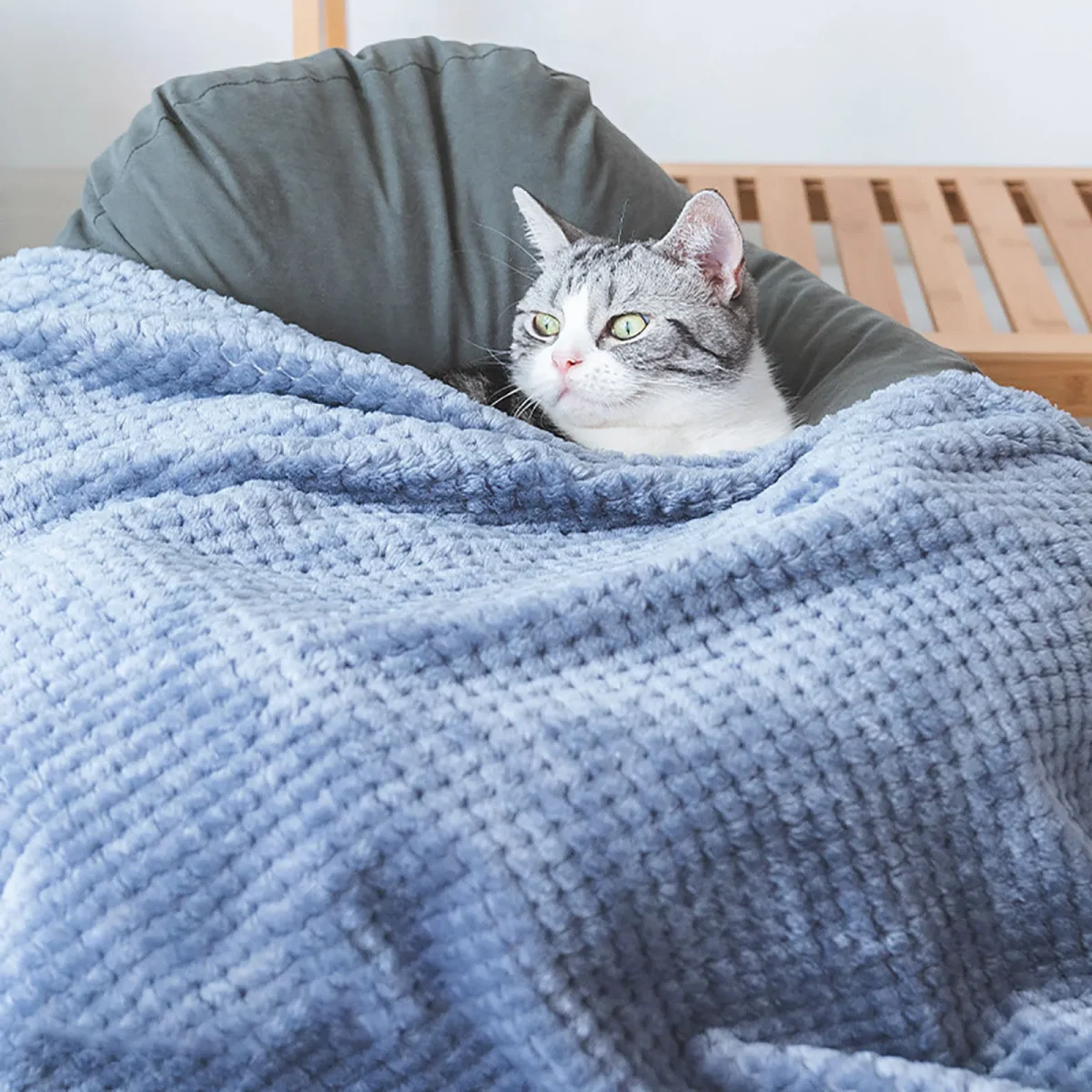 Soft Plush Pet Blanket