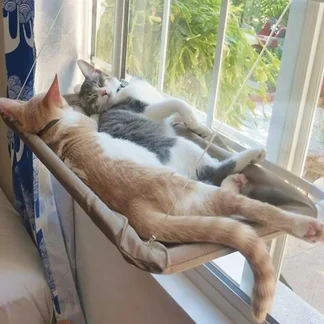 Window-Mount Cat Hammock